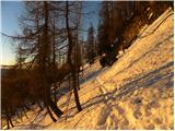 Planina Zajavornik - Debeli vrh nad Lipanco